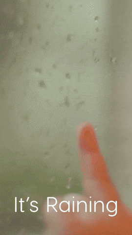 Its Raining GIF by Sealed With A GIF