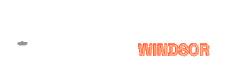 Pickleball Windsor Sticker by Pickleplex Social Club