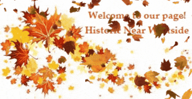 Historic Near Westside GIF