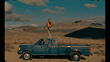 subpoprecords country music cowboy country pony GIF