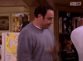Whatever This Is Everybody Loves Raymond GIF by TV Land