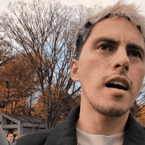 Wow Wtf GIF