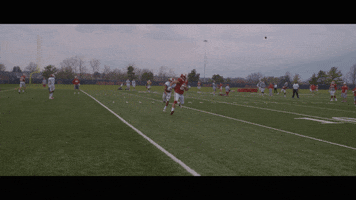 College Football GIF by Indiana University Bloomington