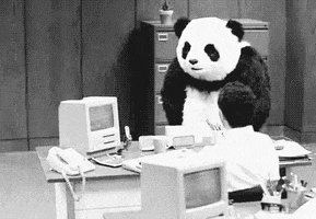 omg so many people reposting my panda gifs >:( GIF by hoppip