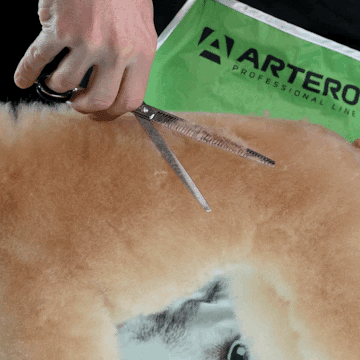 Scissors Perros GIF by Artero Professional Line