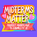Midterms Matter, Protect Marriage Equality