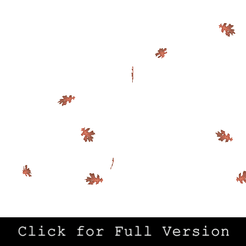 Falling Snowflakes Transparent GIF by DP Animation Maker