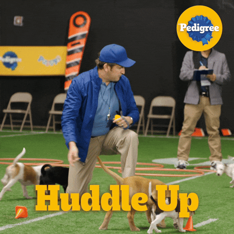 Dog Food GIF by PEDIGREE US