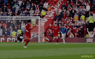 Lfc GIF