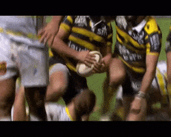 pro d2 flicitations GIF by Stade Montois Rugby