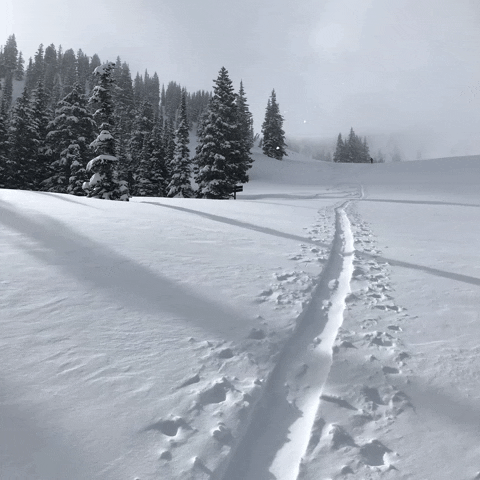 Powderchasers GIF