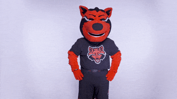 Disappointed Red Wolves GIF by Arkansas State University