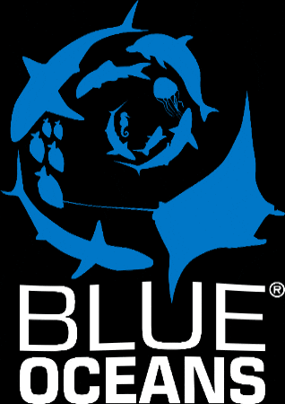 Dive School de Grevelingen GIF