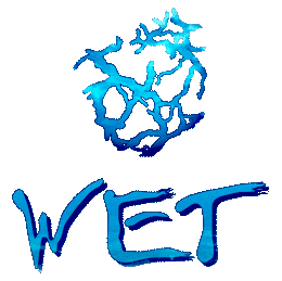 Wet Miami Sticker