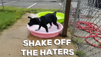 Haters Shake It Off GIF by Humane Society of Northeast Georgia