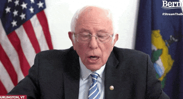 Bernie Sanders GIF by Election 2020