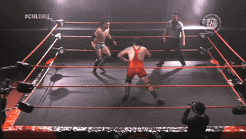 Fight Wrestling GIF by CNL Chile