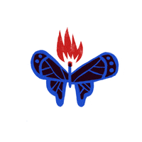 200.gif?cid=fc005b08a5f80739475e6ba071b0fed010e861ba4c494933&rid=200.gif&ct=g