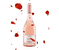 Cheers Wine Sticker by Cà Maiol