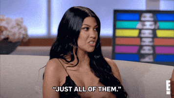 Keeping Up With The Kardashians Everything GIF by E!