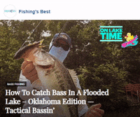 Bass Fish GIFs - Find & Share on GIPHY