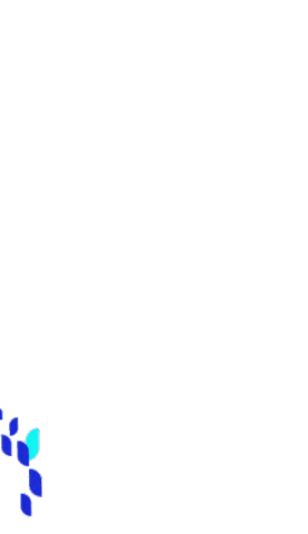 Blue Tulip Awards Sticker