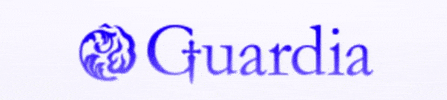 guardiaguardia guardiasilver GIF