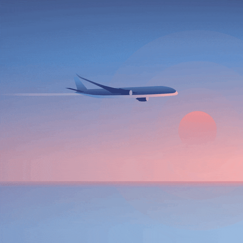 Plane in sky flying GIFs - Get the best GIF on GIPHY