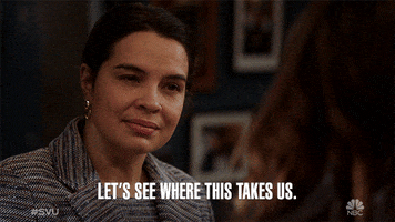 Law And Order Svu Nbc GIF by SVU