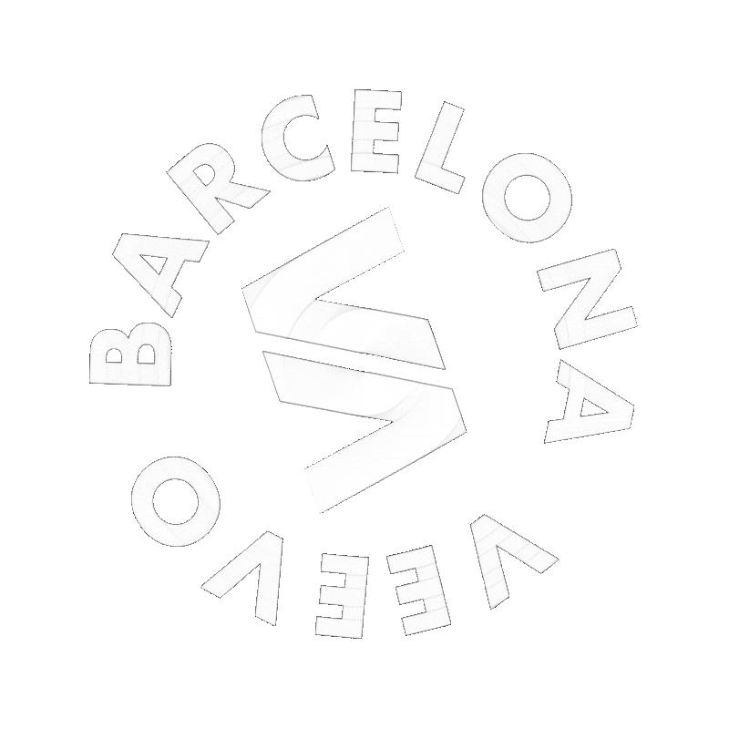Veevo Sticker