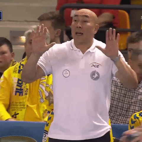 Pge Vive Kielce Handball GIF by Superliga
