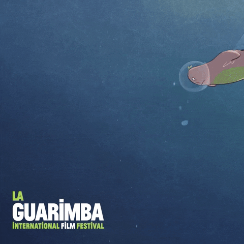 On My Way Swimming GIF by La Guarimba Film Festival