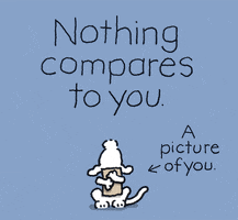 Nothing Compares To You GIF by Chippy the Dog
