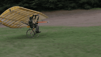 red bull plane GIF by MIT 