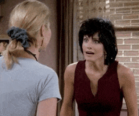 Monica-rachel-fight GIFs - Get the best GIF on GIPHY