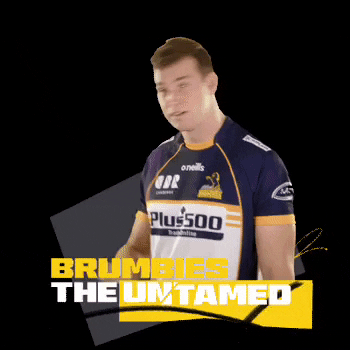 Nick Frost GIF by BrumbiesRugby