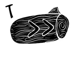 Arrow Camping Sticker