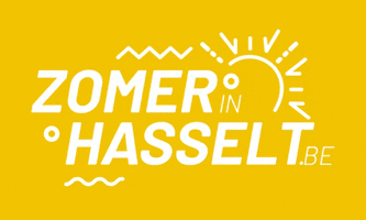 Stad Hasselt GIF
