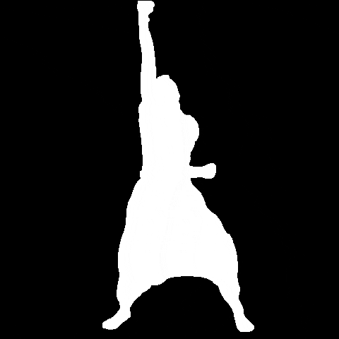 Schoening GIF