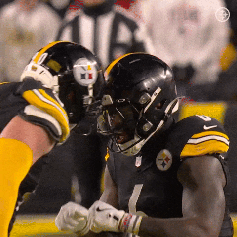 Excited Celebration GIF by Pittsburgh Steelers