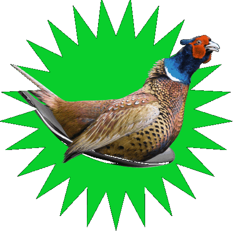 Posto Ristoro Sticker