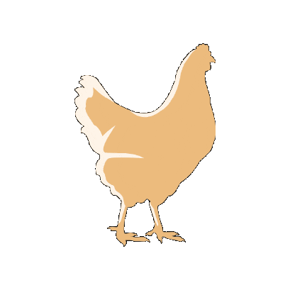 Freshlay Farms Golden Yolker Sticker