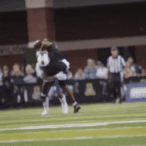 Football Safety GIF by JMUDukes