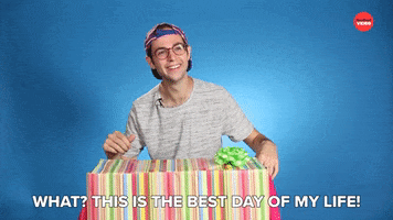 Best Day Ever Cats GIF by BuzzFeed