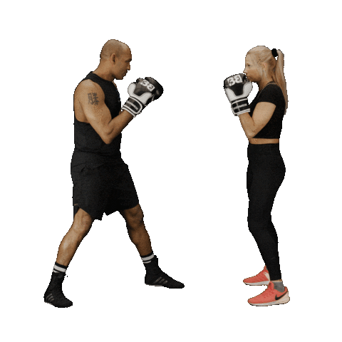 Source: boxschmiede
