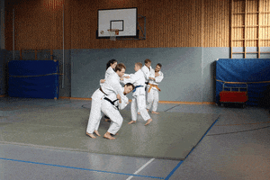 redtigerclub judo martials arts o-goshi parent and child judo GIF