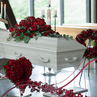200.gif?cid=fc005b08057fdaec4a4cfe965048e7862b582b72db1ea9c6&rid=200.gif&ct=g