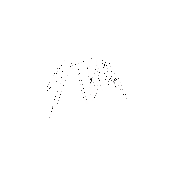 Stelar Sticker