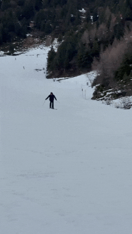 Lennartpennart GIF