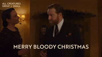 Cheers Christmasdrinks GIF by All Creatures Great And Small